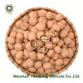 new crop Walnuts Kernels Light Pieces for Sale